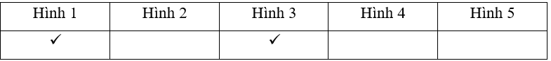 Em hãy đánh dấu vào bức tranh nói về hoạt động du lịch và viết lại tên của hoạt động trong bức tranh đó:
 (ảnh 2)