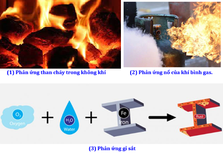 Hãy sắp xếp tốc độ các phản ứng sau theo chiều tăng dần:

A. (1) < (2) < (3).
B. (2) < (3) < (1).
C. (3) < (2) < (1).
D. (3) < (1) < (2). (ảnh 1)