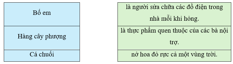 Em hãy nối chủ ngữ với vị ngữ phù hợp: (1 điểm)
 (ảnh 1)