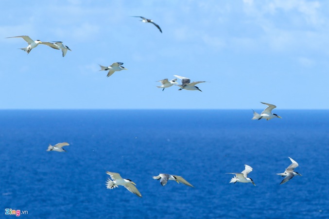 Dựa vào bức tranh sau, em hãy đặt câu có sử dụng trạng ngữ: (1 điểm)
 (ảnh 1)