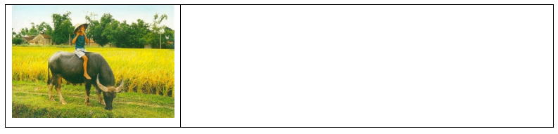 Tìm danh từ chỉ con vật và đồ vật trong bức tranh sau: (1 điểm)
 (ảnh 1)