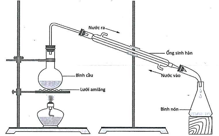 Tiến hành điều chế ethyl acetate theo các bước như hình sau:

Bước 1: Cho 10 mL C2H5OH (D = 0,78 g/cm3) cùng với 10 mL CH3COOH (D = 1,05 g/cm3), vài giọt dung dịch H2SO4 đặc và lắc đều bình c (ảnh 1)