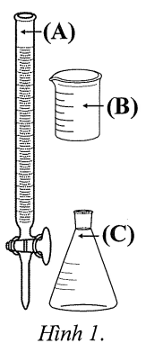 Trong phòng thí nghiệm, một nhóm học sinh tìm hiểu ảnh hưởng của thời gian lưu giữ tới nồng độ FeSO₄ trong dung dịch. Giả thuyết của nhóm học sinh là: “Khi để lâu, nồng độ FeSO4 trong dung dị (ảnh 1)