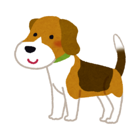 Listen and choose. (ảnh 3)