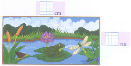 Đo độ dài hai cạnh của bức tranh hình chữ nhật sau và cho biết: (1 điểm)

Chu vi bức tranh là: …………………………………
Diện tích của bức tranh là: ………………………………… (ảnh 1)