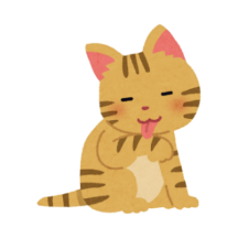 Listen and choose. (ảnh 1)