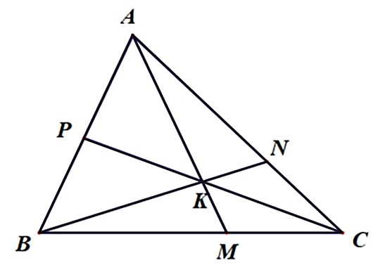 Cho điểm  K  nằm trong tam giác  A B C . Gọi  M  là giao điểm của tia  A K  với cạnh  B C ,  N  là giao điểm của tia  B K  với  A C ,  P  là giao điểm của tia  C K  với  A B . (ảnh 1)