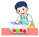 Con hãy chọn đáp án đúng nhất
Bạn Nam lấy một quả bóng trong hộp như hình dưới đây:
 (ảnh 1)