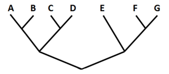 Sơ đồ dưới đây thể hiện mối quan hệ giữa một số loài khác nhau, loài nào có sự khác biệt di truyền lớn nhất với loài D?

A. Loài (ảnh 1)