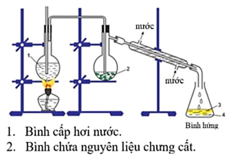 Limonene là một monoterpene lỏng không màu, là thành phần chính (chiếm khoảng 67 - 80%) trong tinh dầu bưởi. Limonene có tác dụng giảm đau đầu, tăng cường hệ miễn dịch, khử trùng, bảo quản th (ảnh 1)