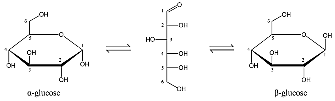 Các nghiên cứu về cấu tạo cho biết glucose có một dạng mạch hở và hai dạng mạch vòng (α-glucose và β-glucose) chuyển hóa qua lại lẫn nhau như hình sau:
 (ảnh 1)