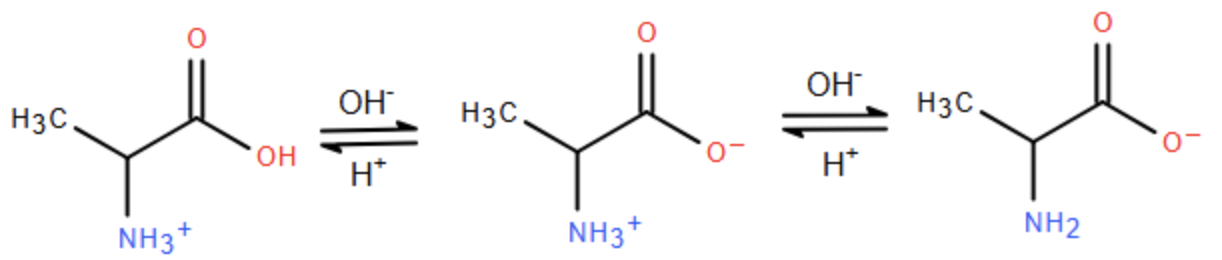 Cho các dạng tồn tại của amino acid sau ở pH khác nhau:

Hãy cho biết những phát biểu sau đây là đúng hay sai? (ảnh 1)
