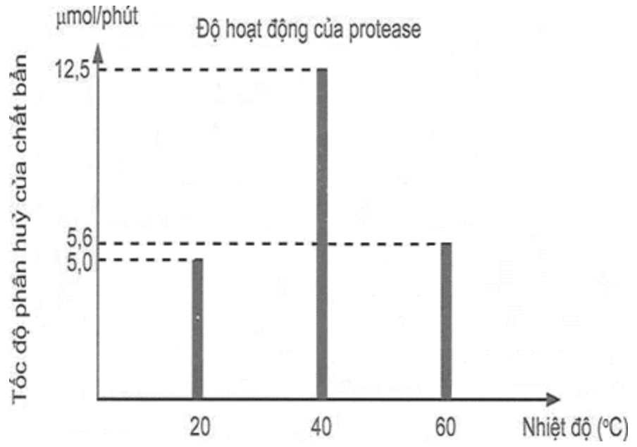 Enzyme là một thành phần thiết yếu của các chất giặt rửa cao cấp và việc sử dụng chúng mang lại cho người tiêu dùng những lợi ích rõ rệt. Những lợi ích này bao gồm khả năng làm việc ở nhiệt đ (ảnh 1)