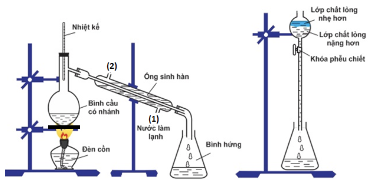 Một nhóm học sinh được giao nhiệm vụ điều chế ethyl acetate từ ethyl alcohol và acetic acid, thu sản phẩm và xác định hiệu suất của toàn bộ quá trình điều chế. Biết khối lượng riêng của ethyl (ảnh 1)