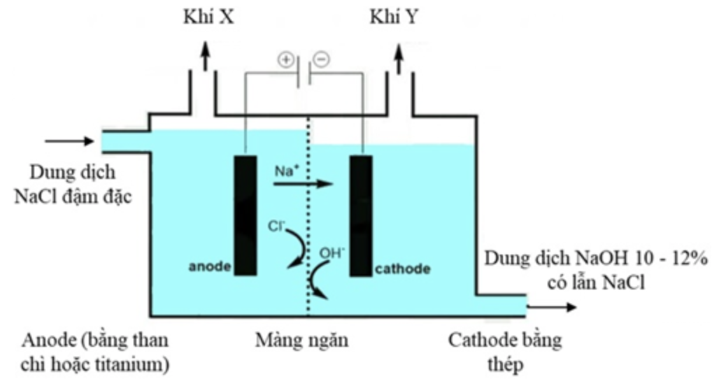 Chlorine và sodium hydroxide là hoá chất được sử dụng để sản xuất nhiều chất trung gian trong các ngành công nghiệp hoá học (polymer, bột giấy, giấy), dược phẩm, thuốc bảo vệ thực vật, sản xu (ảnh 1)