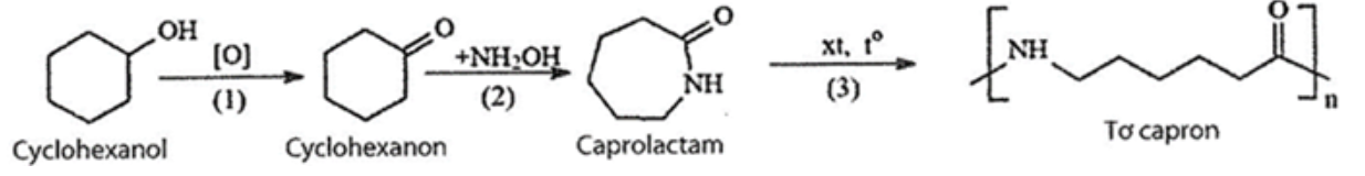 Tơ capron là polymer có tính dai, bền, mềm óng mượt, ít thấm nước, mau khô. Bên cạnh ứng dụng trong ngành may mặc, tơ capron còn được sử dụng làm dây cáp, dù, đan lưới, chế tạo các chi tiết m (ảnh 1)