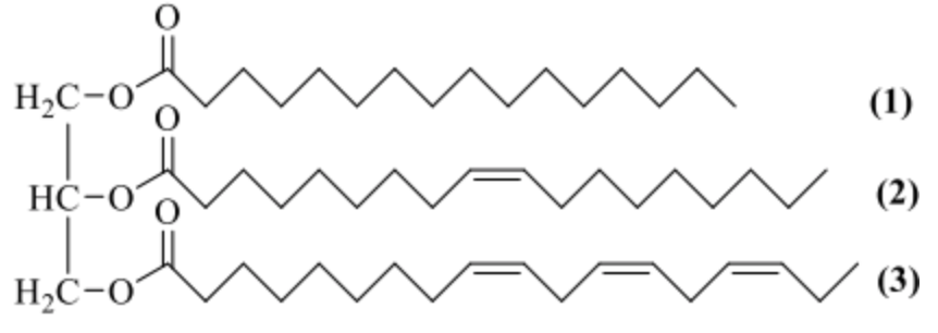 Triglyceride đóng vai trò là nguồn cung cấp năng lượng và chuyên chở các chất béo trong quá trình trao đổi chất. Cho triglyceride X có công thức cấu tạo như hình sau:

Các kí hiệu (1), (2), ( (ảnh 1)