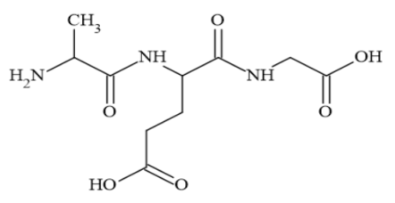 Cho hợp chất hữu cơ X có công thức cấu tạo như sau:
 (ảnh 1)