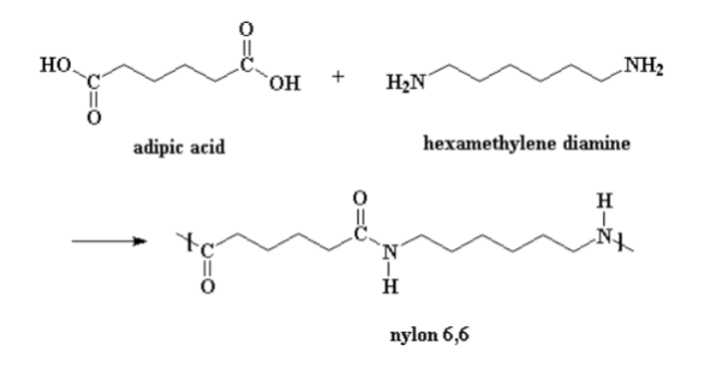 Tơ nilon - 6,6 được tổng hợp từ adipic acid và hexamethylene diamine qua phản ứng sau:
 (ảnh 1)