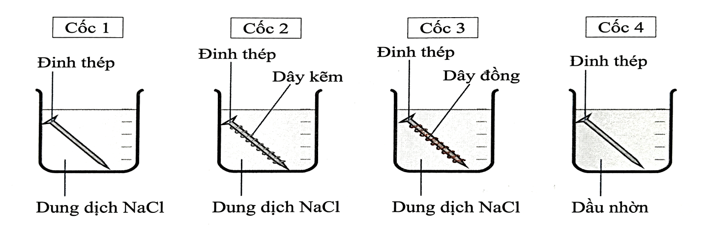 Một nhóm học sinh tiến hành thí nghiệm về sự ăn mòn kim loại theo các bước:
- Rót dung dịch sodium chloride (NaCl) bão hòa vào cốc 1, cốc 2, cốc 3; rót dầu nhờn (bản chất là hỗn hợp các hydr (ảnh 1)