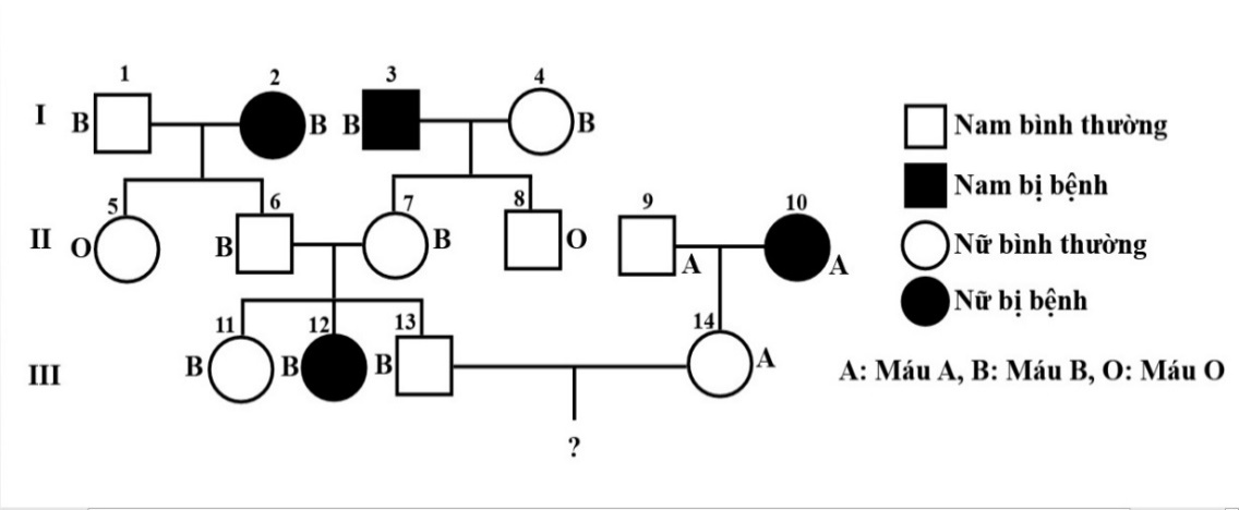 Ở người, tính trạng nhóm máu do một gene có 3 allele quy định: allele IA quy định nhóm máu A, allele IB quy định nhóm máu B đều trội hoàn toàn so với allele IO quy định nhóm máu O. Bệnh M do  (ảnh 1)