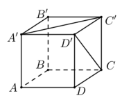 Cho hình lập phương ABCD.A'B'C'D' (xem hình bên dưới). Góc giữa hai đường thẳng A'C' và D'C' bằng (ảnh 1)