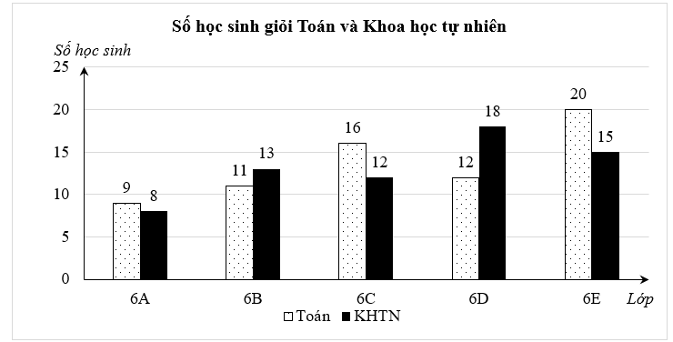 (2,0 điểm) Biểu đồ cột kép dưới đây biểu diễn số học sinh giỏi hai môn Toán và Khoa học tự nhiên (KHTN) của các lớp 6A, 6B, 6C, 6D và 6E.

Dựa vào biểu đồ trên em hãy cho biết:
(a) Đối tượng  (ảnh 1)