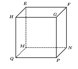 Cho hình hộp  M N P Q . E F G H , biết  M N = 6 c m , H E = 3 c m , F N = 7 c m .    Khi đó: (ảnh 1)