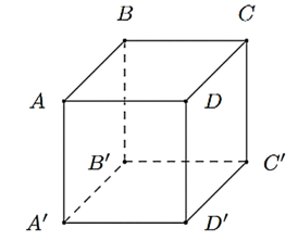 Cho hình lập phương  A B C D . A ′ B ′ C ′ D ′  có  A B = 5 c m .    Khi đó: (ảnh 1)
