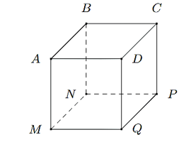 Một con kiến đang ở vị trí A của hình lập phương ABCD.MNPQ. Biết độ dài cạnh AB bằng 1 cm.    Hỏi có bao nhiêu đường gấp khúc mà con kiến có thể đi để đến được vị trí P sao cho tổng quãng đường đi bằng 3 cm? (ảnh 1)