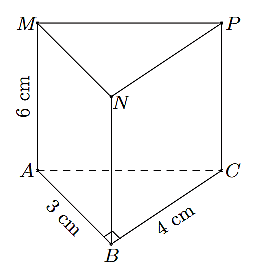 Cho hình lăng trụ đứng tam giác \(ABC.MNP\).

Khi đó: (ảnh 1)
