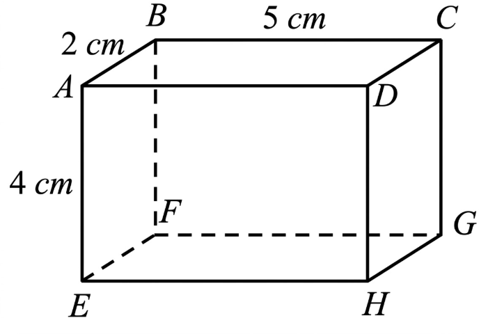 Cho hình hộp chữ nhật  A B C D . E F G H  (hình vẽ). Biết  A B = 2 c m ,  B C = 5 c m ,  A E = 4 c m .    Khẳng định nào sau đây là sai? (ảnh 1)