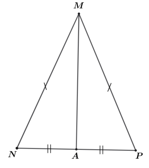 Cho Δ M N P có M N = M P . Gọi A là trung điểm của N P . Biết ˆ N M P = 40 ∘ . Khi đó: (ảnh 1)