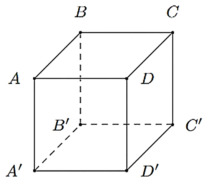 Cho hình lập phương A B C D . A ′ B ′ C ′ D ′ . Khi đó: (ảnh 1)