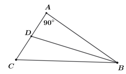 Cho Δ A B C có ˆ A = 90 ∘ , ˆ C = 50 ∘ . Tia phân giác của góc B cắt A C tại D . Khi đó: (ảnh 1)