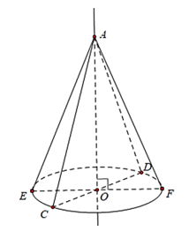 Cho tam giác cân ACD có O là trung điểm cạnh đáy CD. Xét hình nón dược tạo ra khi quay tam giác vuông AOC một vòng xung quanh đường thảng cố dịnh chứa cạnh AO của tam giác vuông đó (Hình vẽ). Quan sát hình vẽ và hãy chỉ ra: (ảnh 1)