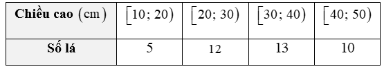 Đo độ dài (đơn vị: cm) của 40 lá dương xỉ trưởng thành ta có bảng tần số ghép nhóm như sau:   Khi đó, tỉ lệ lá có chiều dài từ 20cm đến dưới 30cm là (ảnh 1)