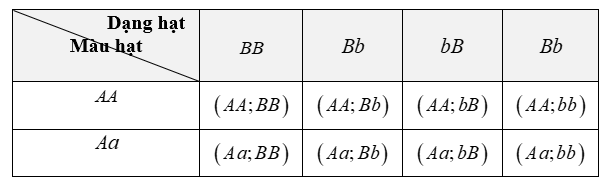 Màu hạt của đậu Hà Lan có hai kiểu hình: màu vàng và màu xanh, có hai gene ứng với hai kiểu hình này allele lặn a. Hình dạng hạt của đậu Hà Lan có hai kiểu hình: hạt trơn và hạt nhăn, có hai (ảnh 1)