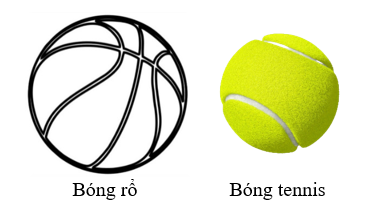 Có một quả bóng rổ và một quả bóng tennis (hình vẽ). Biết rằng diện tích bề mặt của quả bóng rổ khoảng 1884,75cm2 và bán kính của quả bóng rổ gấp khoảng 2 lần đường kính của quả bóng tennis. (ảnh 1)