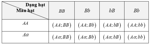 Màu hạt của đậu Hà Lan có hai kiểu hình: màu vàng và màu xanh, có hai gene ứng với hai kiểu hình này allele lặn a. Hình dạng hạt của đậu Hà Lan có hai kiểu hình: hạt trơn và hạt nhăn, có hai (ảnh 1)