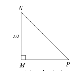 Cho đường tròn \((O)\) ngoại tiếp tam giác \(MNP\). Tính bán kính của \((O)\), biết rằng \(\Delta MNP\) vuông cân tại \(M\) và có cạnh bằng \(2\sqrt 2 \,\,{\rm{cm}}{\rm{.}}\) (ảnh 1)
