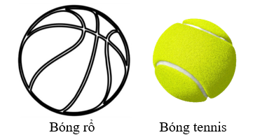 Có một quả bóng rổ và một quả bóng tennis (hình vẽ). Biết rằng diện tích bề mặt của quả bóng rổ khoảng 1884,75cm2 và bán kính của quả bóng rổ gấp khoảng 2 lần đường kính của quả bóng tennis. (ảnh 1)