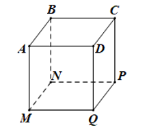 Đường chéo của hình hộp chữ nhật ABCD.MNPQ là (ảnh 1)
