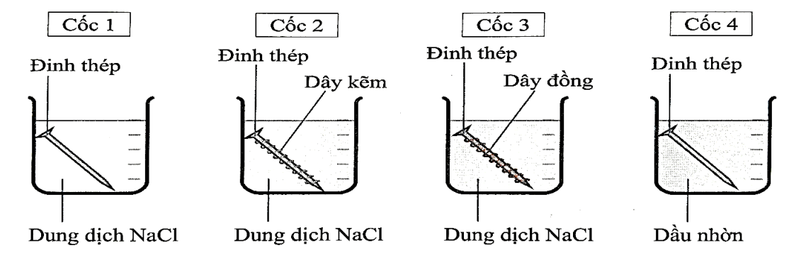 Một nhóm học sinh tiến hành thí nghiệm về sự ăn mòn kim loại theo các bước:
- Rót dung dịch sodium chloride (NaCl) bão hòa vào cốc 1, cốc 2, cốc 3; rót dầu nhờn (bản chất là hỗn hợp các hydro (ảnh 1)