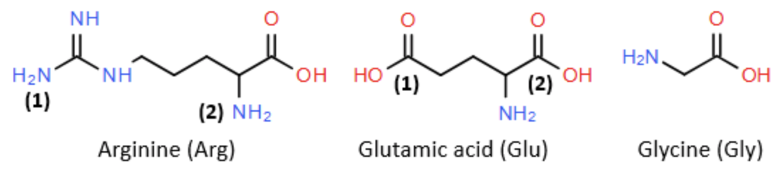 Insulin là hormone do tuyến tuỵ tiết ra, giúp điều hoà lượng đường trong máu bằng cách thúc đẩy tế bào sử dụng glucose làm năng lượng. Sự thiếu hụt insulin hoặc giảm đáp ứng với insulin có ng (ảnh 1)