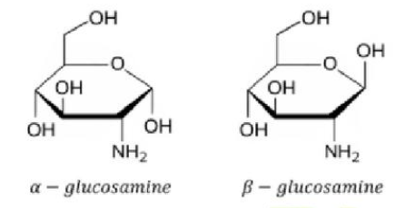 Glucosamine là một amino monosaccharide có nhiều trong các mô liên kết và mô sụn. Công thức của glucosamine (dạng alpha và β) như hình bên. Một số muối của glucosamine như glucosamine (ảnh 1)
