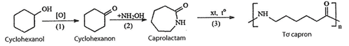 Tơ capron là polymer có tính dai, bền, mềm óng mượt, ít thấm nước, mau khô. Bên cạnh ứng dụng trong ngành may mặc, tơ capron còn được sử dụng làm dây cáp, dù, đan lưới, chế tạo các chi tiết m (ảnh 1)
