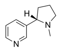 Nicotine là một chất gây nghiện, chất độc thần kinh có trong cây thuốc lá. Nicotine chiếm 0,6 đến 3% trọng lượng của cây thuốc lá khô. Công thức cấu tạo của nicotine cho như hình bên.
Cho cá (ảnh 1)