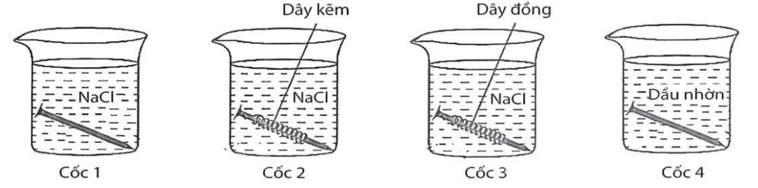 Tiến hành thí nghiệm (như hình vẽ): Rót dung dịch NaCl bão hoà vào cốc 1, cốc 2, cốc 3; cho dầu nhờn vào cốc 4. Cho vào cốc 1 và cốc 4 một đinh sắt sạch, cho vào cốc 2 đinh sắt sạch được quấn (ảnh 1)