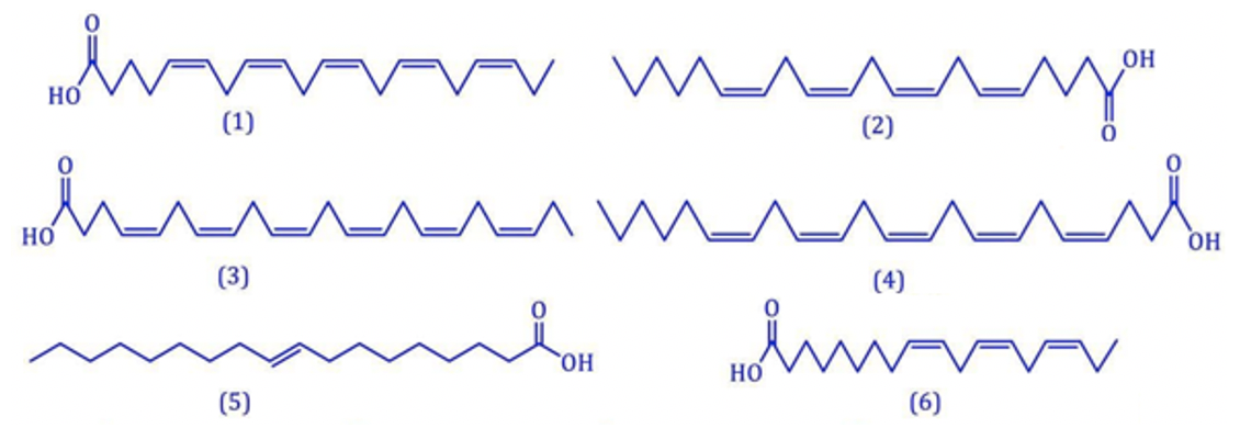 Trong các chất cho dưới đây có bao nhiêu chất thuộc loại acid béo omega-3 ?
 (ảnh 1)